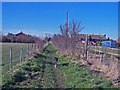 Footpath to Chaffe's Lane, Upchurch in ME9 7HP