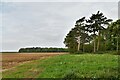 Hengrave: Ploughed field in IP28 6RA