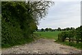 Kentford: Farm track to the right of a narrow belt of trees in Kentford & Moulton Ward