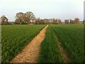 Field path from Hodgett's Lane to Nailcote Lane, Carol Green in CV7 7DE
