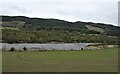 Tummel Shingle Island Nature Reserve in PH16 5TE