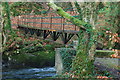 Pont Droed dros Afon Dwyfor - Footbridge over Afon Dwyfor in LL52 0ST