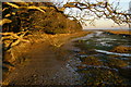 Low tide, Boldre Foreshore nature reserve in SO41 5SJ
