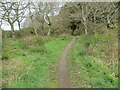 Woodland path at Cairnfield Muir in KY15 7UL