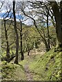 Path down to Nant Cwm Llwch in LD3 8LE