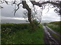 A back road above Llanwrda in SA19 8EP