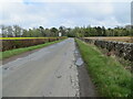 Wall and hedge enclosed road near to Lathockar in KY16 8PE