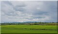Looking towards the Malverns from Cowsden in WR7 4NZ