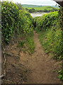 Footpath to Porthilly Cove in PL27 6JX