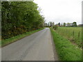 Minor road beside Balcormo Wood in KY8 5QF