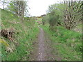 Path to Lumbennie Hill at Craigdownie in KY14 6EX