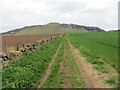 Field edge track and path heading towards Bunnet Stane in KY14 7TD