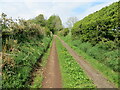 Enclosed track and footpath near to Skelton in CA11 9TE