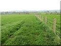 Fields divided by fencing near Catterlen in CA11 0AL