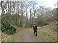 Traffic Free Cycle and Walking Trails Chopwell Wood in Chopwell and Rowlands Gill Ward