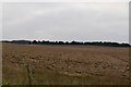 Ploughed farmland, Stiffkey in Stiffkey
