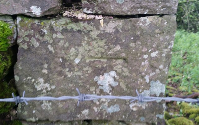 Ordnance Survey Cut Mark in Ystradfellte Community