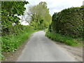 Elderton Lane near Ivy Cottage in NR28 0NR