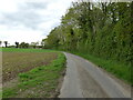 Elderton Lane near Antingham Wood in NR28 0NR