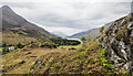 Dead bracken and new growth beside rock outcrop in PH50 4RJ