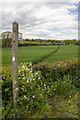 Footpath off Bungay Lake Road in B61 9DT