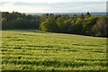 Woods and farmland, Inkpen in RG17 9EA