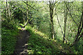 Footpath above the Amber valley in DE55 6FF