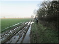 Footpath  alongside  Church  Wood in East Wolds and Coastal Ward