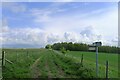 The Wessex Ridgeway path on Arn Hill Down in BA12 8PR