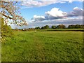 Walking on Keresley Fields in CV7 8HZ
