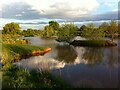 Pond with two miniature islands in CV7 8HZ