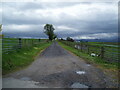 Farm road near Easter Kinkell in IV7 8HX