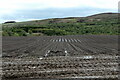 Wet field near Auchmull in DD9 7YG