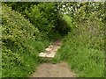 Plank footbridge on the path from Lambley to Spring Lane Farm in NG5 8RN