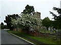Spring blossom outside Pebworth Church in CV37 8DS