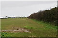 Hedge / field boundary in NR23 1NG