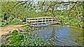 River Chess footbridge in WD3 3FF
