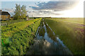 West along the New Cut from the Great North Fen Road bridge in CB24 8XL