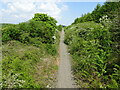 Sherburn Colliery railway station (site), County Durham in DH6 1DW