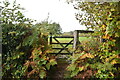 Footpath off Pottens Mill Lane in TN21 8UB