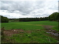 Crop field and woodland, Cairnpark in DG3 5AY