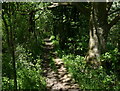North Worcestershire Path near Hopwood in B48 7AH