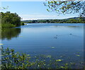 Upper Bittell Reservoir in B48 7AH