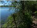 North Worcestershire Path at the Upper Bittell Reservoir in B48 7AH