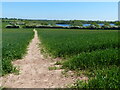 North Worcestershire Path towards the Upper Bittell Reservoir in B45 8FL