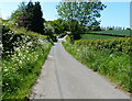 Lane near Cofton Richards Farm in B45 8FL