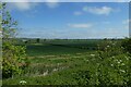Farmland east of Hovingham in YO62 4LQ