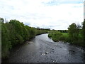 The River Nith, Auldgirth in DG2 0XG