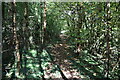 Footpath, Longcroft Wood in TN8 6SP