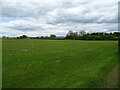 Recreation ground off Jock's Loaning, Dumfries in DG2 0HJ